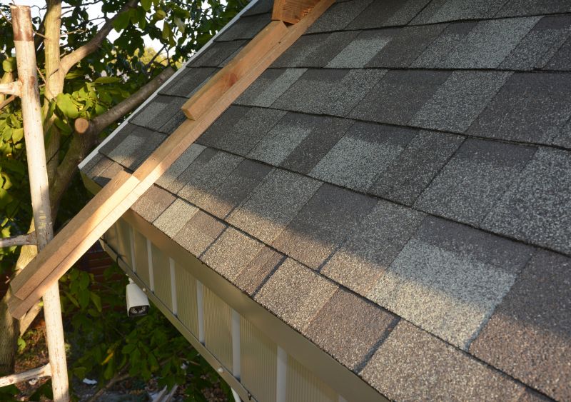 Asphalt Roof Repair detail