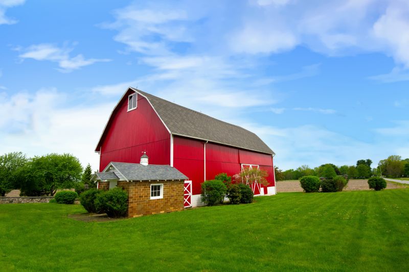 Barn Roof Replacement detail