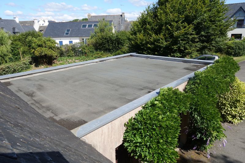 Roofing Evaluation detail