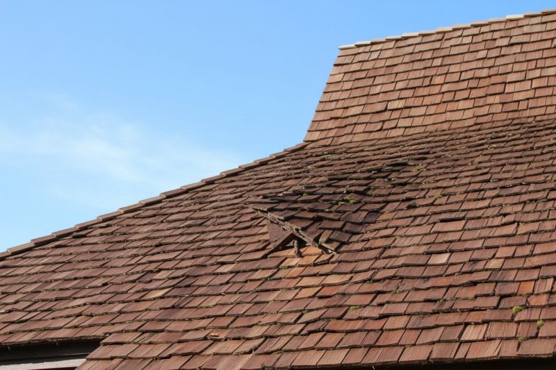 Shake Roof Replacement detail